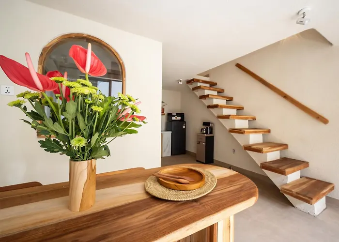 Casa Pumara Loft 4* 科洛布坎